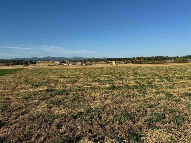 XXXX N N Spotted Rd Rd, Deer Park, WA 99006