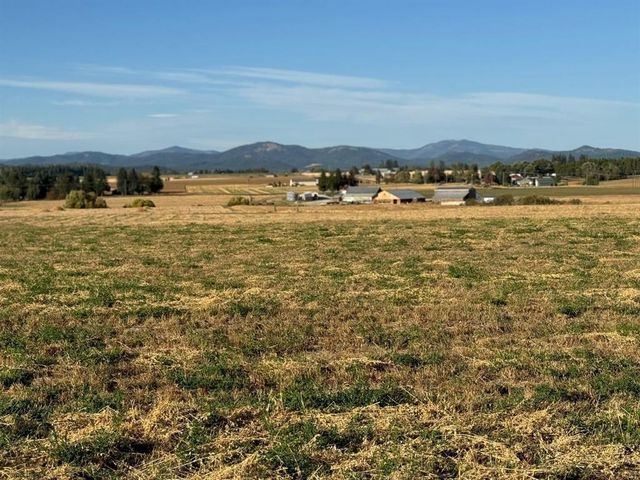 XXXX N N Spotted Rd Rd, Deer Park, WA 99006