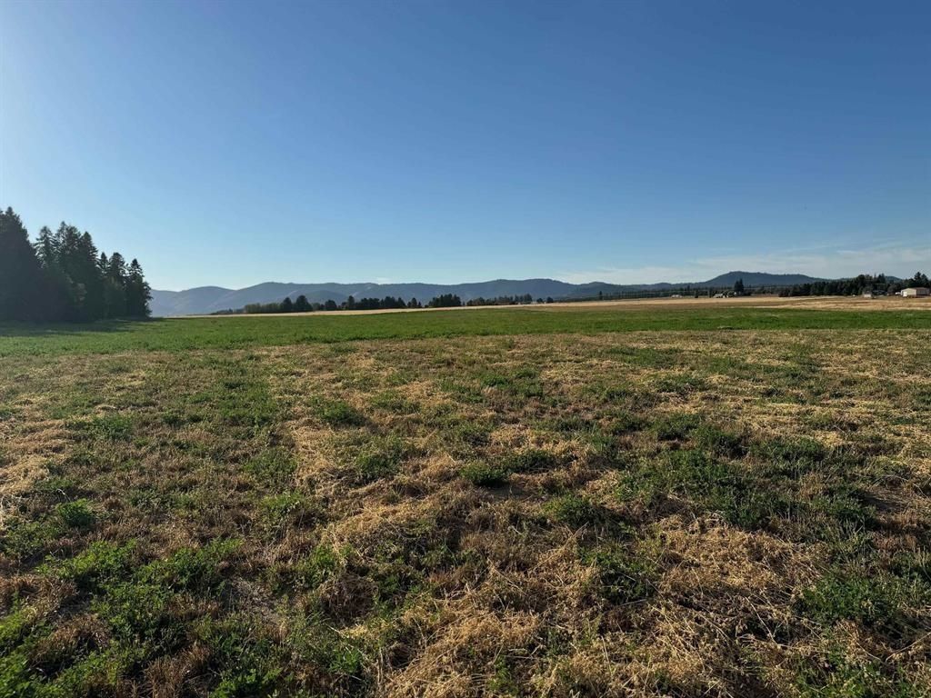 XXXX N N Spotted Rd Rd, Deer Park, WA 99006