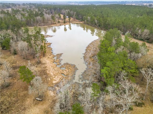 31 Shady Lane, Other, TX 77371