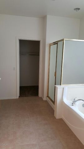 12629 W Hollyhock Drive, Avondale, AZ 85392