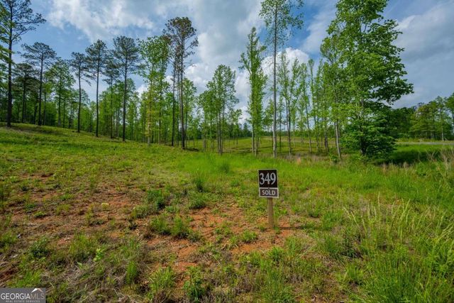 L349 The Vineyard at Yukon, Ellijay, GA 30540