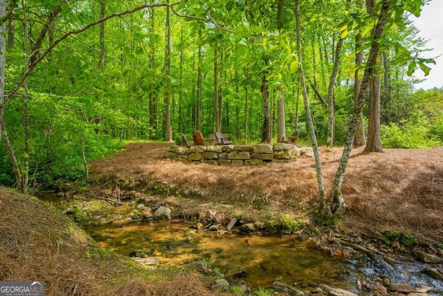 L349 The Vineyard at Yukon, Ellijay, GA 30540