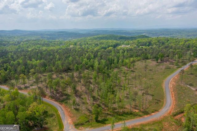 L349 The Vineyard at Yukon, Ellijay, GA 30540
