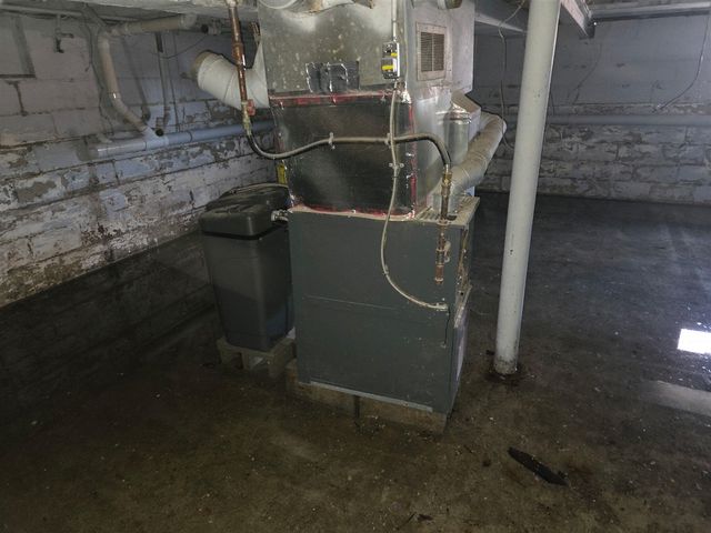 7 S Elm Street, Hesperia, MI 49421