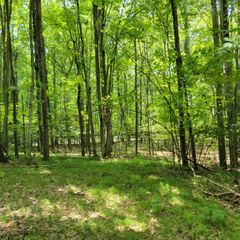Lot 1314 Spruce Hill Drive, Farwell, MI 48622