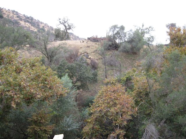 35548 Hummingbird Lane, Yokuts Valley, CA 93675