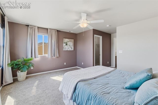 5621 Saint Patrick View, Colorado Springs, CO 80923