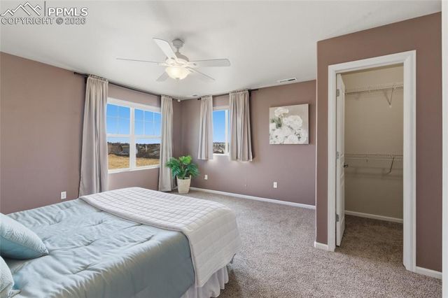 5621 Saint Patrick View, Colorado Springs, CO 80923