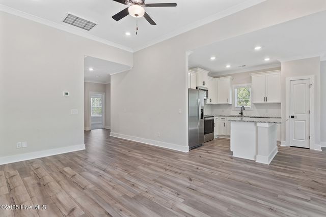 146 S Umbrella Palm Drive, Hampstead, NC 28443