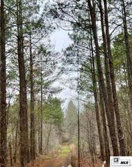 00 GOURD BAYOU ROAD, Monroe, LA 71202