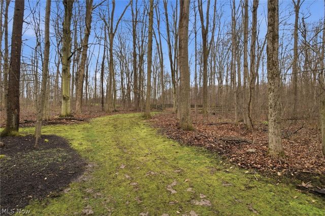 113 Champion Lane, Chagrin Falls, OH 44022