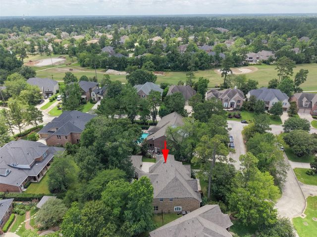 6 African Violets Place, The Woodlands, TX 77382