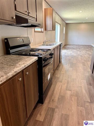 1303 Wonderland Cavern Road, Cecilia, KY 42724