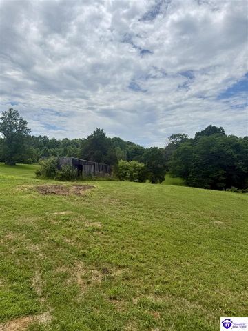 1303 Wonderland Cavern Road, Cecilia, KY 42724
