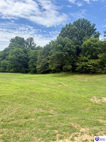 1303 Wonderland Cavern Road, Cecilia, KY 42724