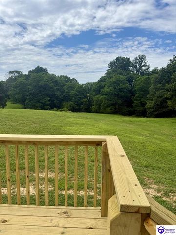 1303 Wonderland Cavern Road, Cecilia, KY 42724