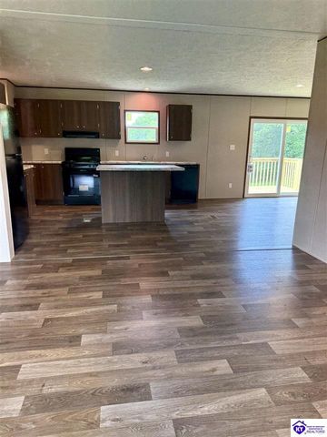1303 Wonderland Cavern Road, Cecilia, KY 42724