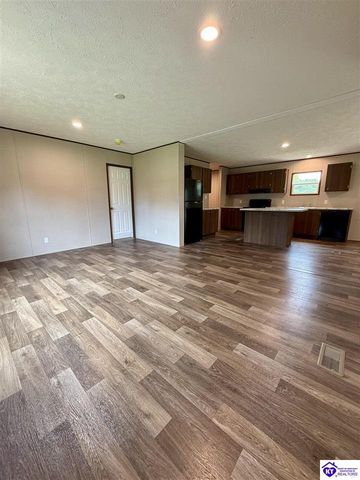 1303 Wonderland Cavern Road, Cecilia, KY 42724