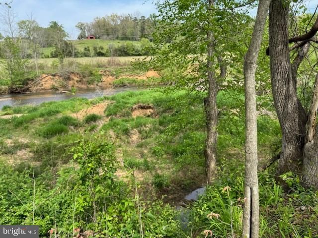 150 DOC CARPENTER LN, Madison, VA 22727