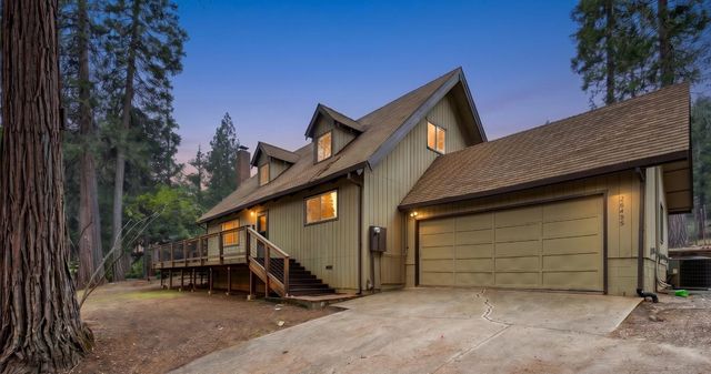 26495 Butterfield Ct, Pioneer, CA 95666