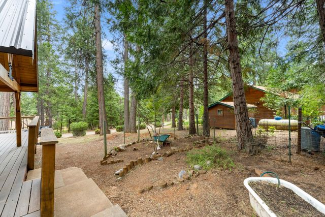 26495 Butterfield Ct, Pioneer, CA 95666