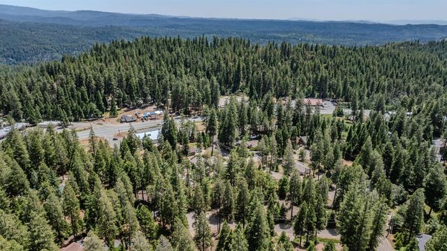 26495 Butterfield Ct, Pioneer, CA 95666