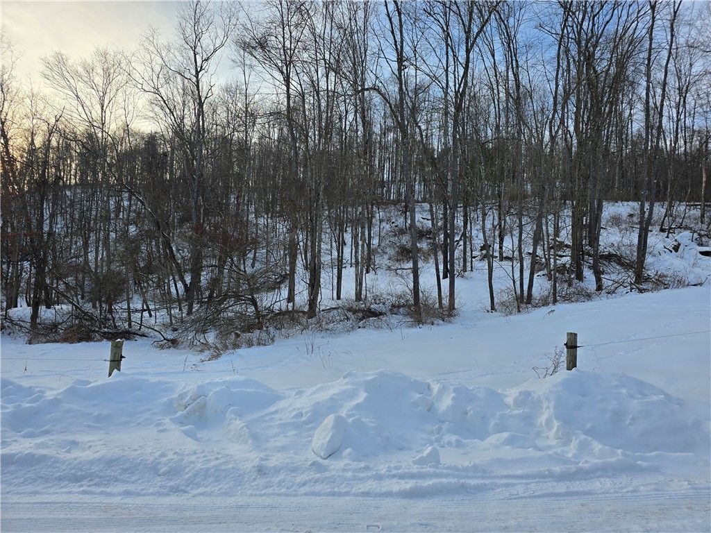 0 Birch Rd, Mayport, PA 16240