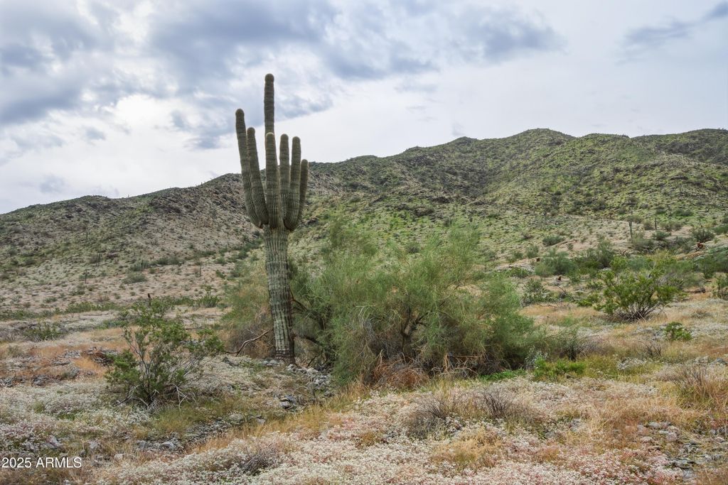 Image 18 of property listing at 2229 W SUNRISE Drive 0, Phoenix, AZ 85041