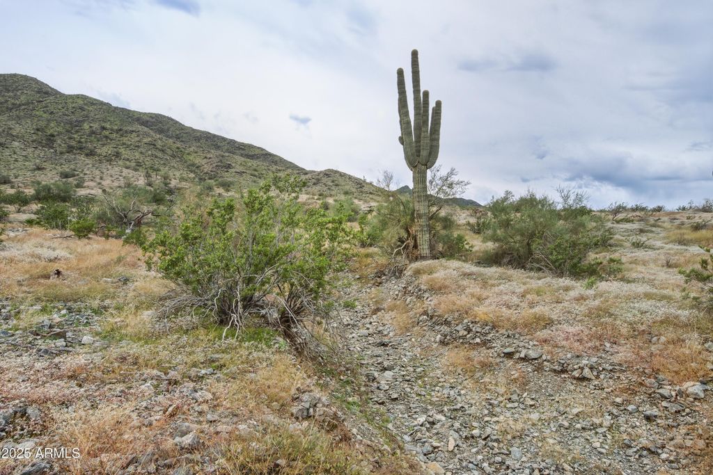 Image 19 of property listing at 2229 W SUNRISE Drive 0, Phoenix, AZ 85041