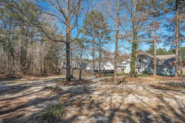 218 Farm Chase Drive, Lexington, SC 29073