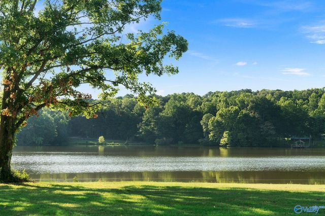 91 County Road 1057, Cedar Bluff, AL 35959