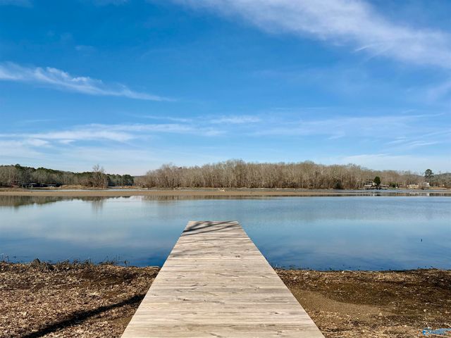 91 County Road 1057, Cedar Bluff, AL 35959