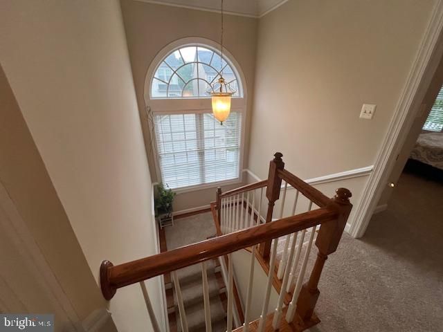 23237 ROBIN SONG DR, Clarksburg, MD 20871