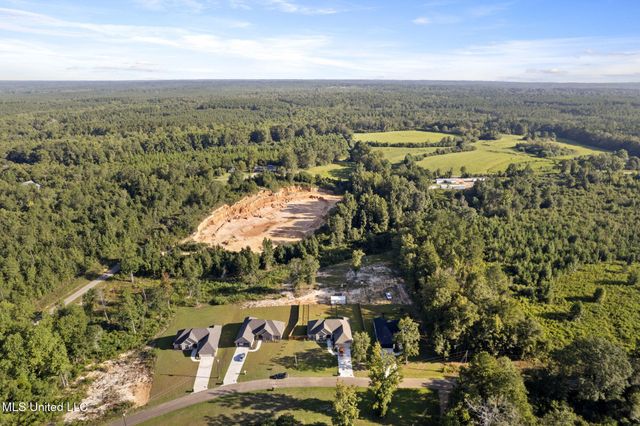134 N Slade Road, Sumrall, MS 39482