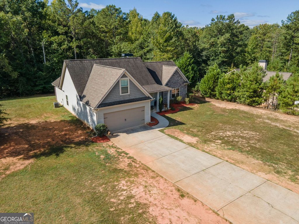 289 Hickory Hills Drive, Newnan, GA 30263 — photo 3