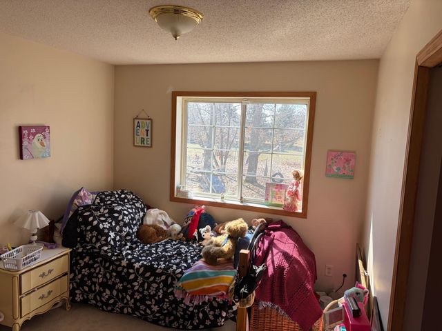 20245 Ann River Drive, Mora, MN 55051