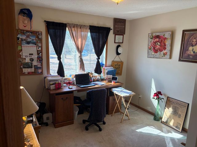 20245 Ann River Drive, Mora, MN 55051