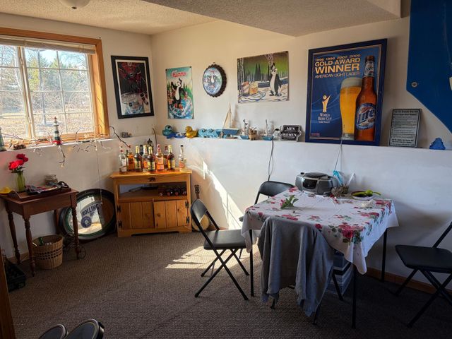 20245 Ann River Drive, Mora, MN 55051