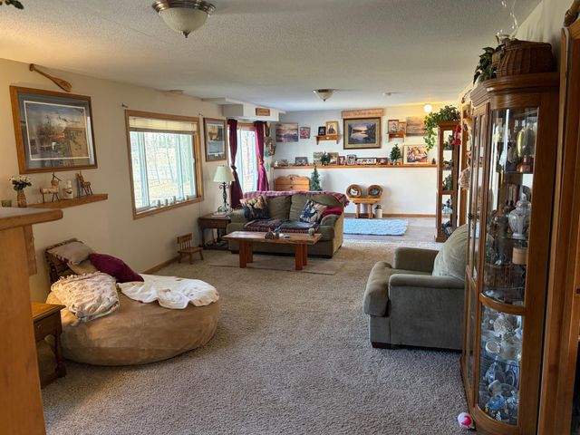 20245 Ann River Drive, Mora, MN 55051