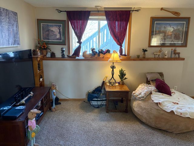 20245 Ann River Drive, Mora, MN 55051