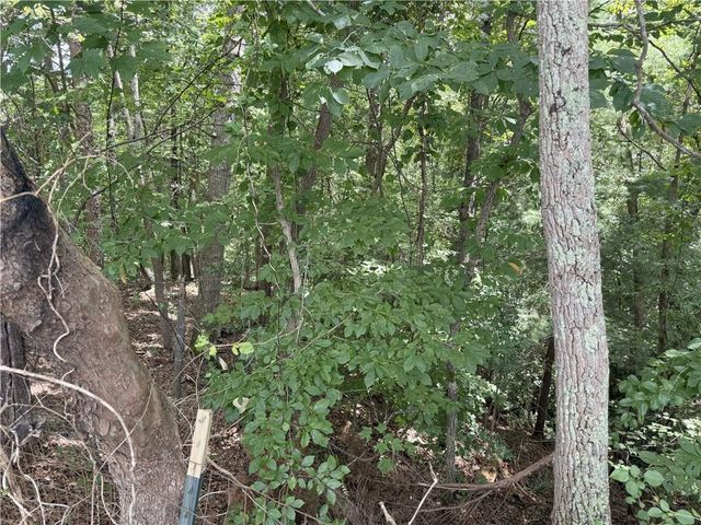 00 Calhoun Road, Dahlonega, GA 30533