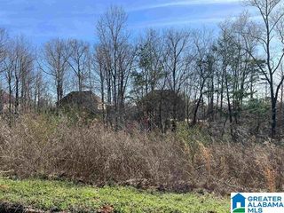 1 SUMMIT RIDGE WAY, Argo, AL 35120