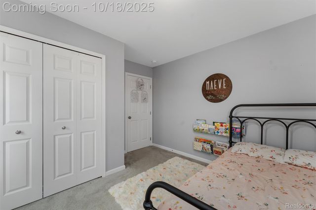 20330 Rambling Drive, Clinton Charter Township, MI 48038