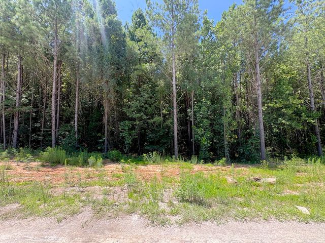 5199 Split Rail Way 1151, Guild, TN 37340