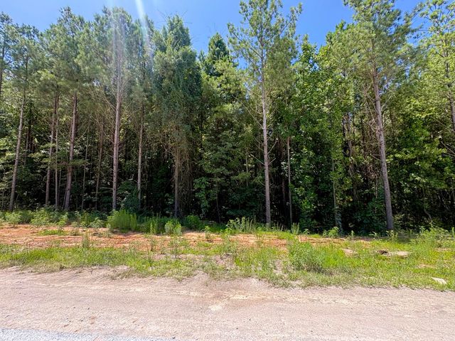 5199 Split Rail Way 1151, Guild, TN 37340