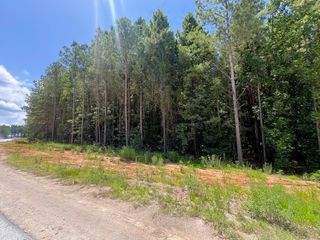 5199 Split Rail Way 1151, Guild, TN 37340