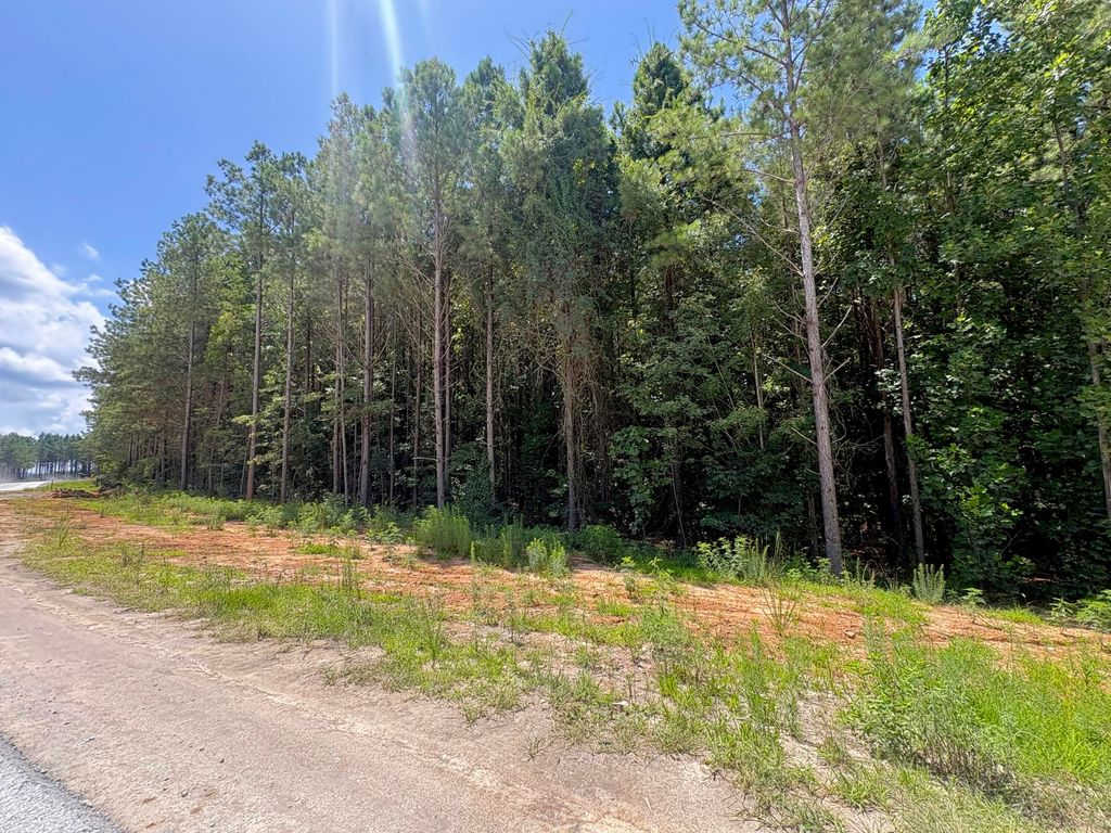 5199 Split Rail Way 1151, Guild, TN 37340