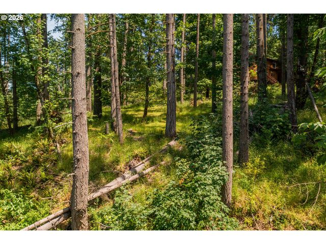 S 70th St, Springfield, OR 97478