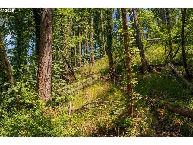 S 70th St, Springfield, OR 97478